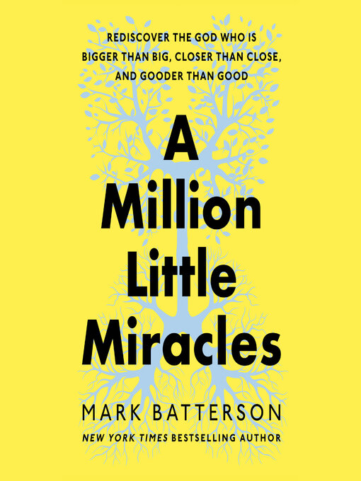 Title details for A Million Little Miracles by Mark Batterson - Wait list